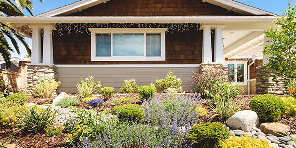 water efficient landscaping in front of a residence
