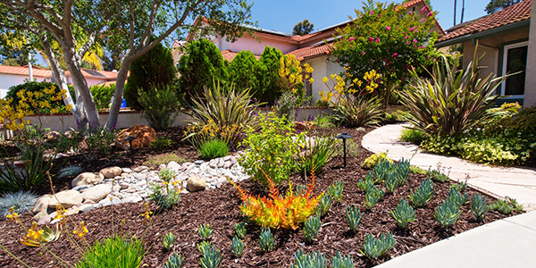 water efficient landscaping in front of a residence