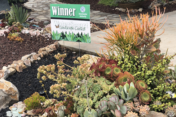 water efficient garden with a content winner sign