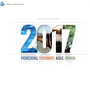 annual report cover says 2017 on a white background