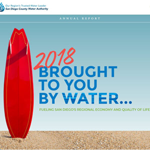annual report cover that shows a surf board and says brought to you by water